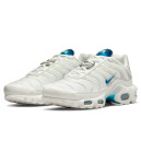 Nike Air Max Plus White Bright Spruce DR7853-100