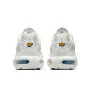 Nike Air Max Plus White Bright Spruce DR7853-100