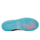 Nike Dunk Low x Union LA Passport Pack Argon DJ9649-400
