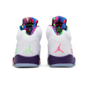 Jordan 5 Retro Alternate Bel-Air DB3335-100