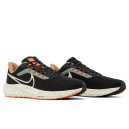 Nike Air Zoom Pegasus 39 Black White Orange DX6039-071
