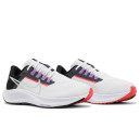 Nike Air Zoom Pegasus 38 White Metallic Silver CW7358-101