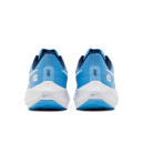 Nike Air Zoom Pegasus 39 UNC DR1967-400