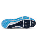 Nike Air Zoom Pegasus 39 UNC DR1967-400